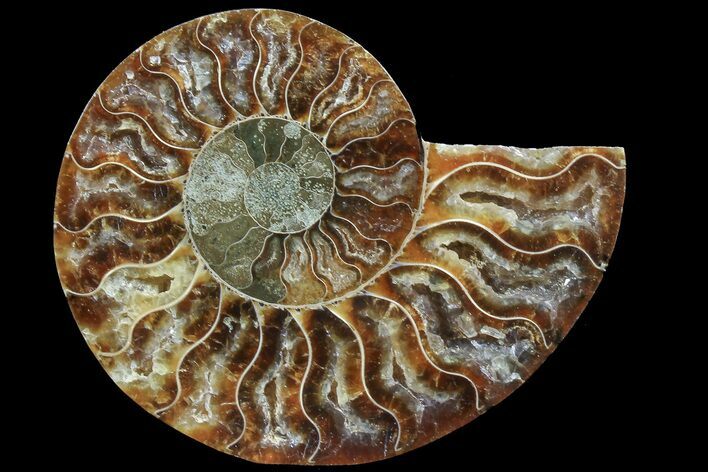 Agatized Ammonite Fossil (Half) #78408